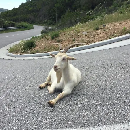 Apartmán Nadia - Terrace With Sea View Zen - By Tgb
