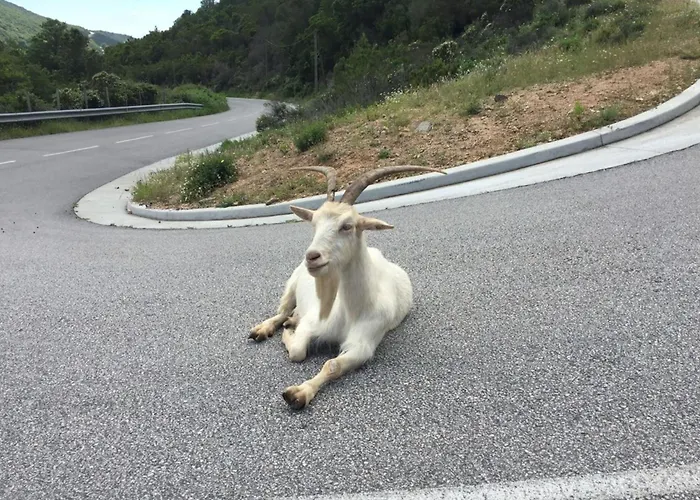 公寓 Nadia - Terrace With Sea View Zen - By Tgb